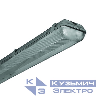 Светильник ЛСП01-2х18-012 Норд IP65 промышленный накладной/подвесной матов. опал. рассеив. Ксенон 0031218313-05