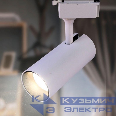 Светильник трековый TR5-10 10Вт COB 4000К 700лм 1ф WH бел. Эра Б0049050