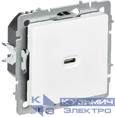 Розетка СП BRITE РЮ12-1-БрАБ USB C 65Вт высокоскор. заряд. арктич. бел. IEK BR-U13-065-K91