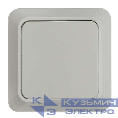 Выключатель 1-кл. ОП Bolleto 10А IP20 7021 бел. ASD / IN HOME 4680005959747