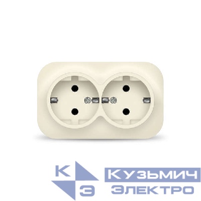 Розетка 2-м ОП 16А IP20 с заземл. сл. кость IONICH 1428