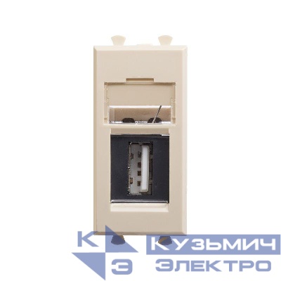Розетка USB 1мод. Avanti "Ванильная дымка" тип А-А модульная DKC 4405401