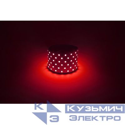 Лента светодиодная LS5050 -14.4-60-12-R-IP20-1 year-5m красн. (уп.5м) Эра Б0059919