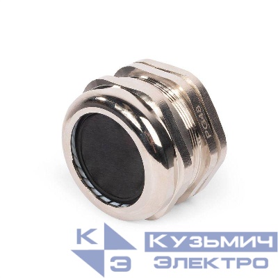 Ввод кабельный латунный PGM 48 (37-44мм) (уп.2шт) Fortisflex 88009