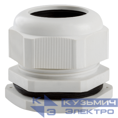 Сальник PG42 d30-40мм IP54 КЭАЗ 143112