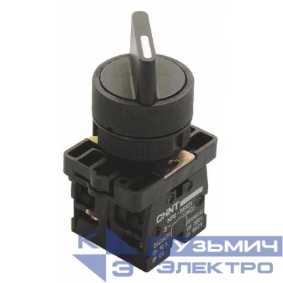 Переключатель NP2-ED23 2 положения фиксацией 2НО IP40 (R) CHINT 575422