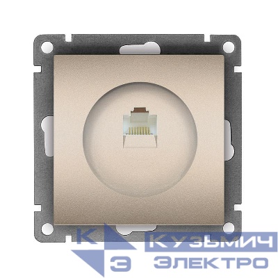 Розетка компьютерная 1-м СП Афина RJ45 кат.5E механизм шампань Universal A0051-Br