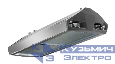 Светильник светодиодный ДКУ 100 750 Д ЕСАУЛ IP66/67 уличный Технологии света УТ000020651