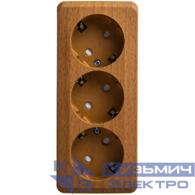 Розетка 3-м ОП Этюд 16А 250В с заземл. защ. шторки бук SE PA16-012T