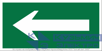 Знак безопасности NPU-1510.N01"Движение к выходу" Белый свет a17635