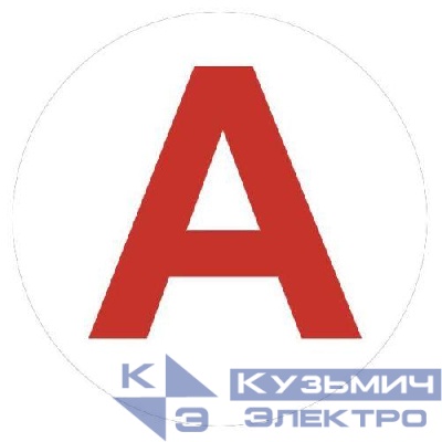 Этикетка самоклеящаяся INFO-LLP-129 50х50мм А для маркировки аварийных светильников Эра Б0069101