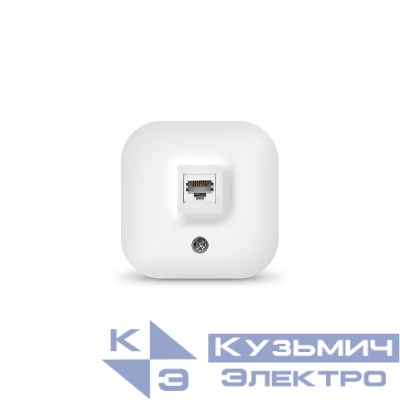 Розетка компьютерная ОП IP20 бел. IONICH 1422