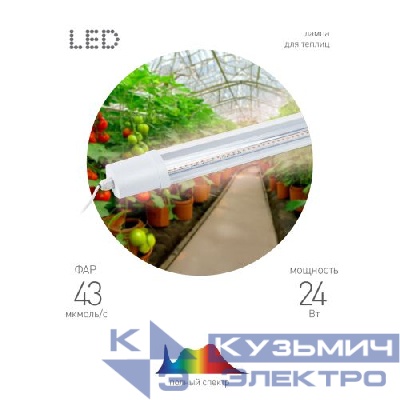 Светильник светодиодный FITO-24W-Ra90-N 24Вт для растений полноспектральный Эра Б0061422