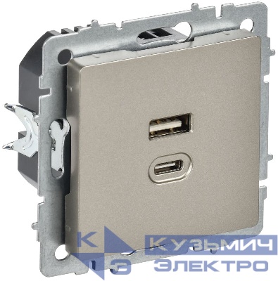 Розетка СП BRITE РЮ11-2-БрШ USB A+C 45Вт высокоскор. заряд. шампань IEK BR-U22-045-K37
