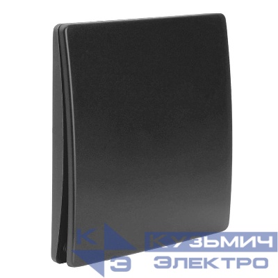 Выключатель дистанционного управления 1-кл. TM91 IP65 7мВт графит FERON 51023