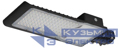 Светильник уличный SPP-502-0-50K-100 100Вт 5000К IP65 Эра Б0051832