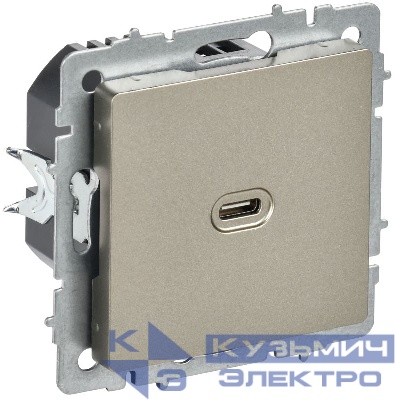 Розетка СП BRITE РЮ12-1-БрШ USB C 65Вт высокоскор. заряд. шампань IEK BR-U13-065-K37