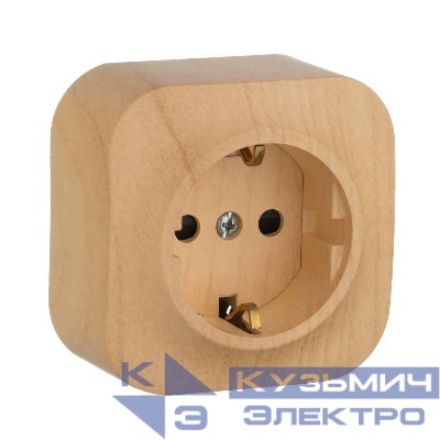 Розетка 1-м ОП Quteo 16А IP20 250В 2P+E с заземл. защ. шторки дерево Leg 782280