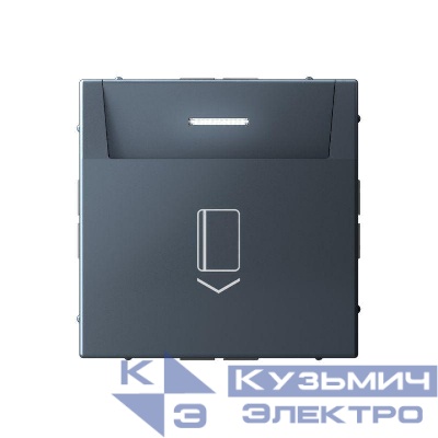 Выключатель карточный ArtGallery 10А без задержки времени быстрозажим. клем. грифель SE GAL000714S