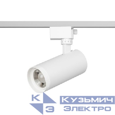 Светильник светодиодный трековый 1ф TR59 - 2030 WH 20Вт 3000К бел. Эра Б0054441