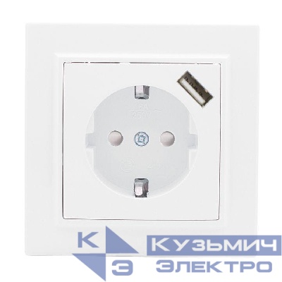 Розетка 1-м СП Минск 16А IP20 с заземл. защ. шторки с заряд. устройством USB 1А бел. EKF ERR16-028-100-USB