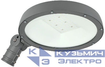 Светильник светодиодный ДКУ Парк 2001-70Д 3000К IP65 IEK LDKU0-2001-070-3000-K02
