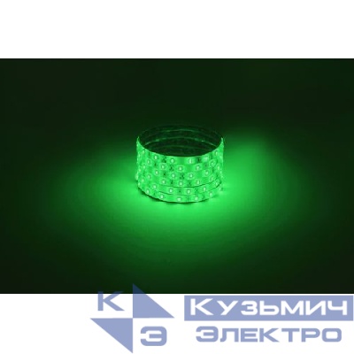 Лента светодиодная LS2835 -4.8-60-12-G-IP65-1 year-5m зел. (уп.5м) Эра Б0059898