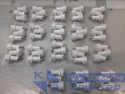 Арматура светосигнальная ЛПС 14-КМ-24-В2