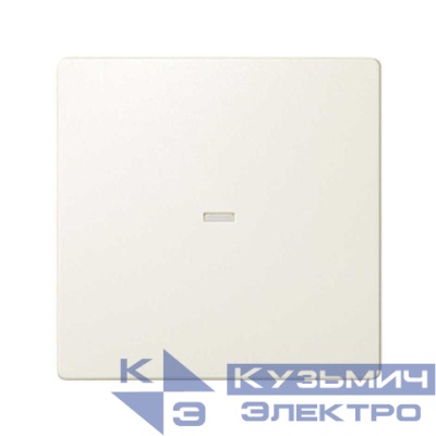 Клавиша с окном подсветки сл. кость Simon82 Detail 8200011-031