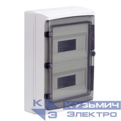 Щиток настенный ЩРн-п-24 24мод. IP65 с дверцей с клеммн. блоком 63А сер. DKC RB24W6TGD