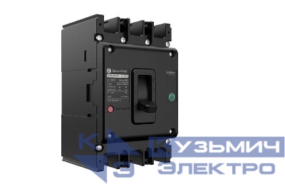 Выключатель автоматический SPD125 2P 35КА 250В пост. ток 3P 10КА 3P TMD100 500В пост. ток SE SPD1252F3E1003D