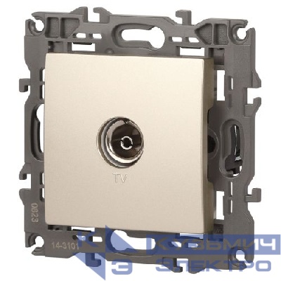 Розетка телевизионная одиночная TV 1мод. Elegance 14-3101-04 IP20 шампань Эра Б0034293