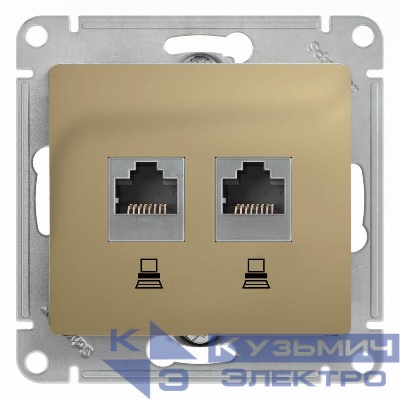 Розетка компьютерная 2-м Glossa RJ45 кат.5E механизм титан SE GSL000485KK