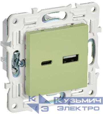 Розетка USB A+C 18Вт SKANDY SK-R13G мятный IEK SK-U22-018-K06