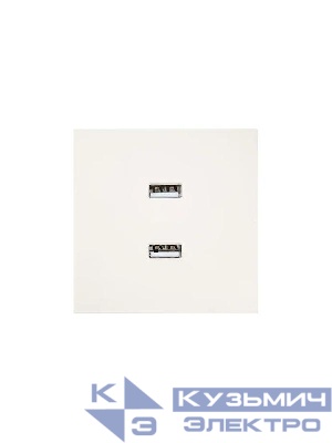 Розетка 2-мест. USB разъем СП ZIMA IP20 слон. кость LEZARD 704-9088-192