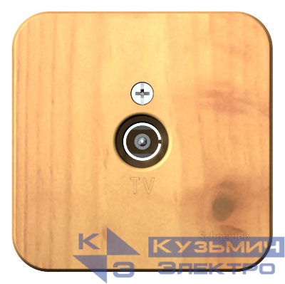 Розетка телевизионная TV ОП Blanca коннектор с изолир. пластиной ясень SE BLNTA000015