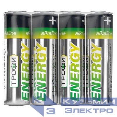 Элемент питания алкалиновый AA/LR6 LR6-4S Eco (уп.4шт) Трофи Б0017042