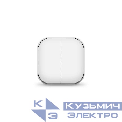 Выключатель 2-кл. ОП 10А IP20 бел. IONICH 1413