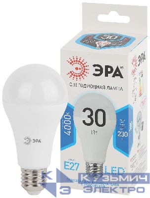 Лампа светодиодная LED A65-30W-840-E27 30Вт A65 грушевидная 4000К нейтр. бел. E27 Эра Б0048016