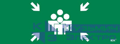 Этикетка самоклеящаяся 350х130мм "Место сбора" IEK LPC10-1-35-13-MSTS