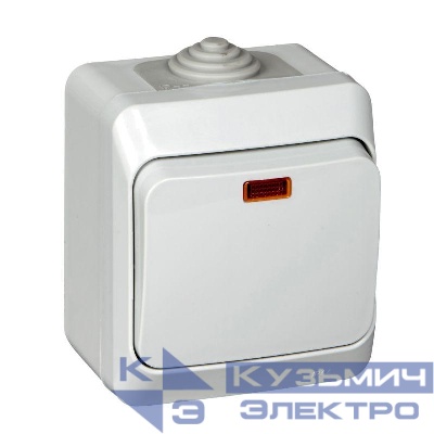 Выключатель 1-кл. ОП Этюд 10А IP44 10AX с подсветкой сер. SE BA10-045C