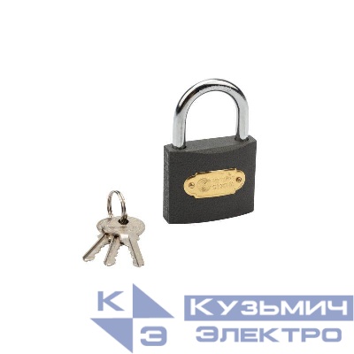 Замок навесной "Чугун" 50мм ЧЕТЫРЕ СЕЗОНА 79-0005