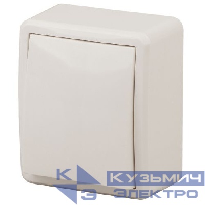 Выключатель 1-кл. ОП Эра Эксперт 10А IP20 11-1202-02 250В 10AX с подсветкой сл. кость Эра Б0020658