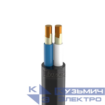 Кабель ППГнг(А)-FRHF 2х1.5 ОК (N) 1кВ (м) Кабэкс ТХМ00132595