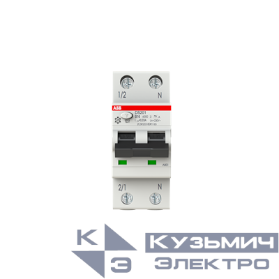 DS201 B16 A30 Автоматический выключатель дифференциального тока 2CSR255180R1165