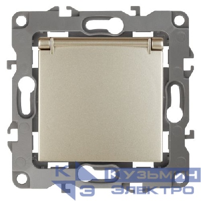 Розетка 1-м СП Эра12 12-2103-04 16А IP20 16AX 250В 2P+E Schuko защ. шторки с крышкой механизм шампань Эра Б0014696