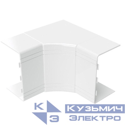 Угол внутренний неизменяемый NIA 100х60 (90град.) (розн. упак. 1шт) DKC 01829R