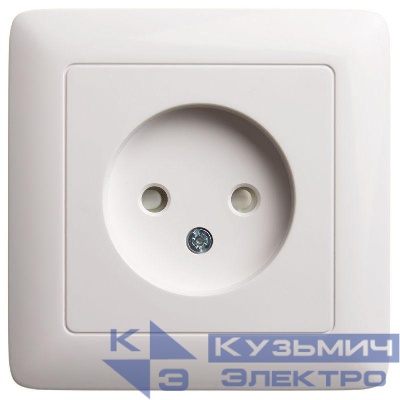 Розетка 1-м СП 1мод. Хит 10А IP20 250В без заземл. защ. шторки бел. SE RS10-135-B