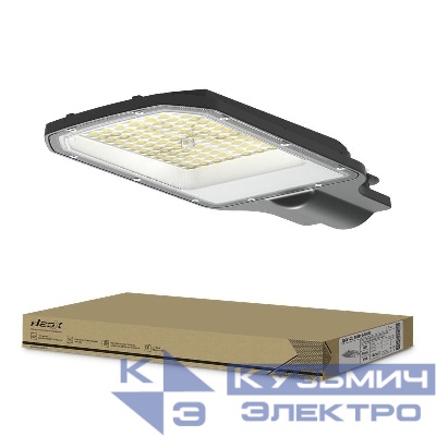 Светильник светодиодный ДКУ-2L 50Вт 5000К IP65 6000лм 230В 125лм/Вт 42-48мм уличный линзованный NEOX 4690612057071