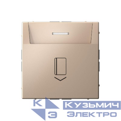 Выключатель карточный ArtGallery 10А без задержки времени быстрозажим. клем. песочн. SE GAL001214S